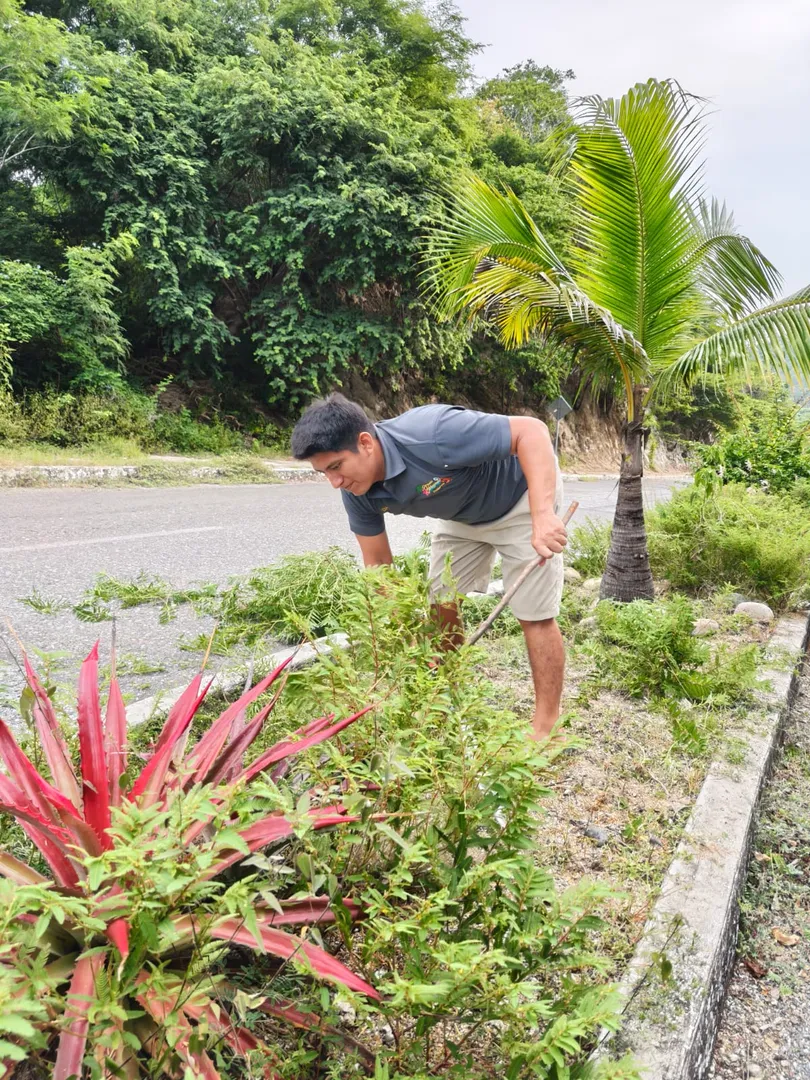 Imagen de Restauranteros Levantando el CIP Huatulco: Limpieza y colaboración en Maguey