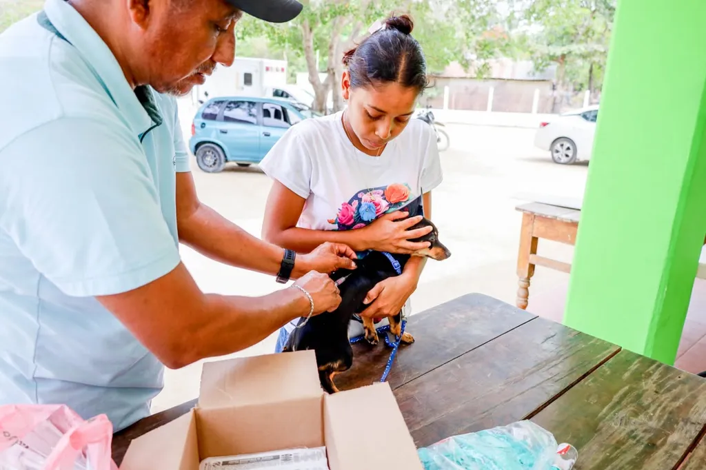 Anti-Rabies Vaccination Campaign Continues
