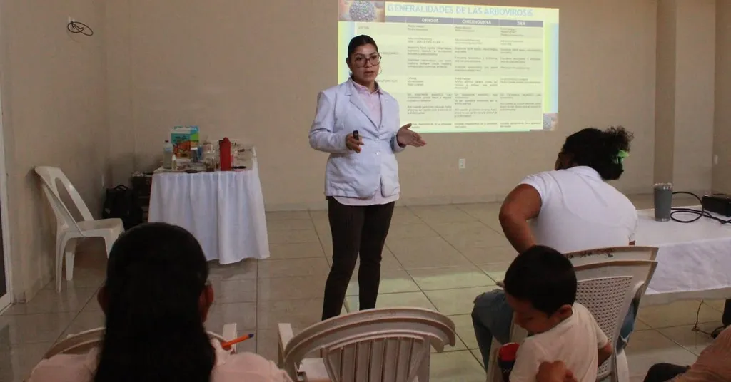 Prevention and control of mosquito-borne diseases