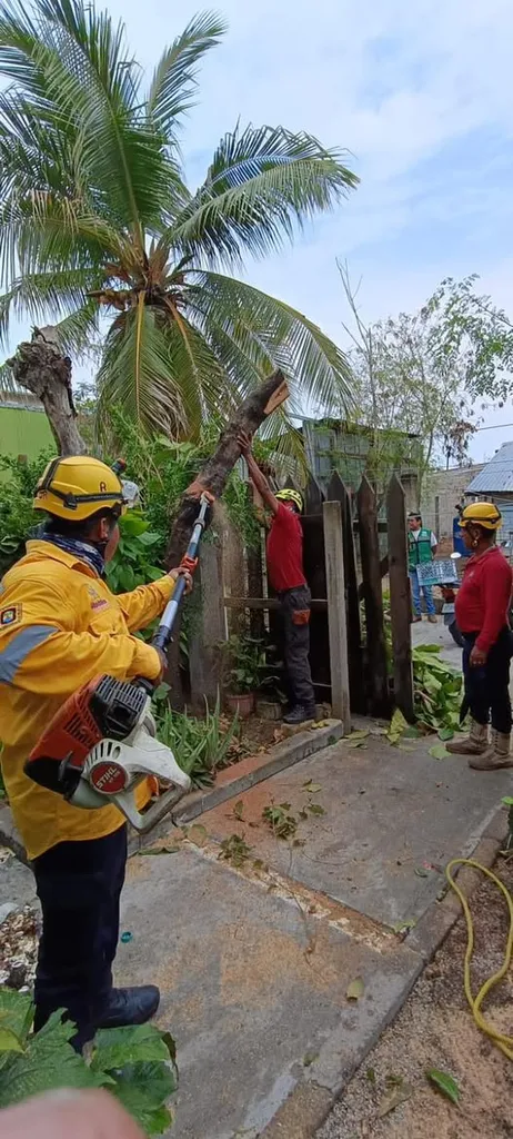 Immediate Attention to Damages from Rains