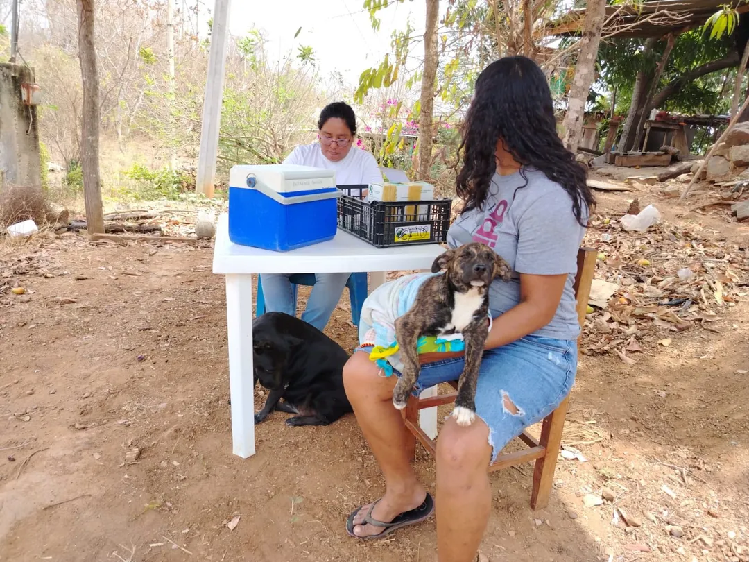 Imagen de Anti-Rabies Vaccination Campaign Strengthens Health in Llano Ciruelos