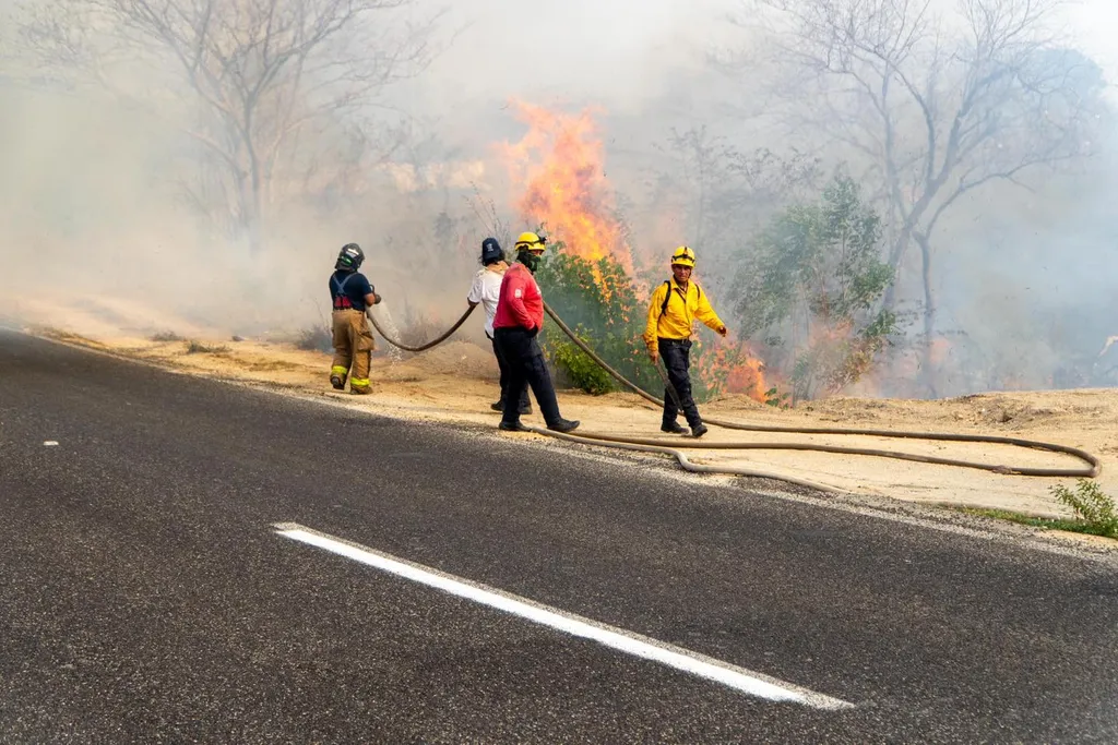 Civil Protection Extinguishes Fire Originated Near Huatulco Airport