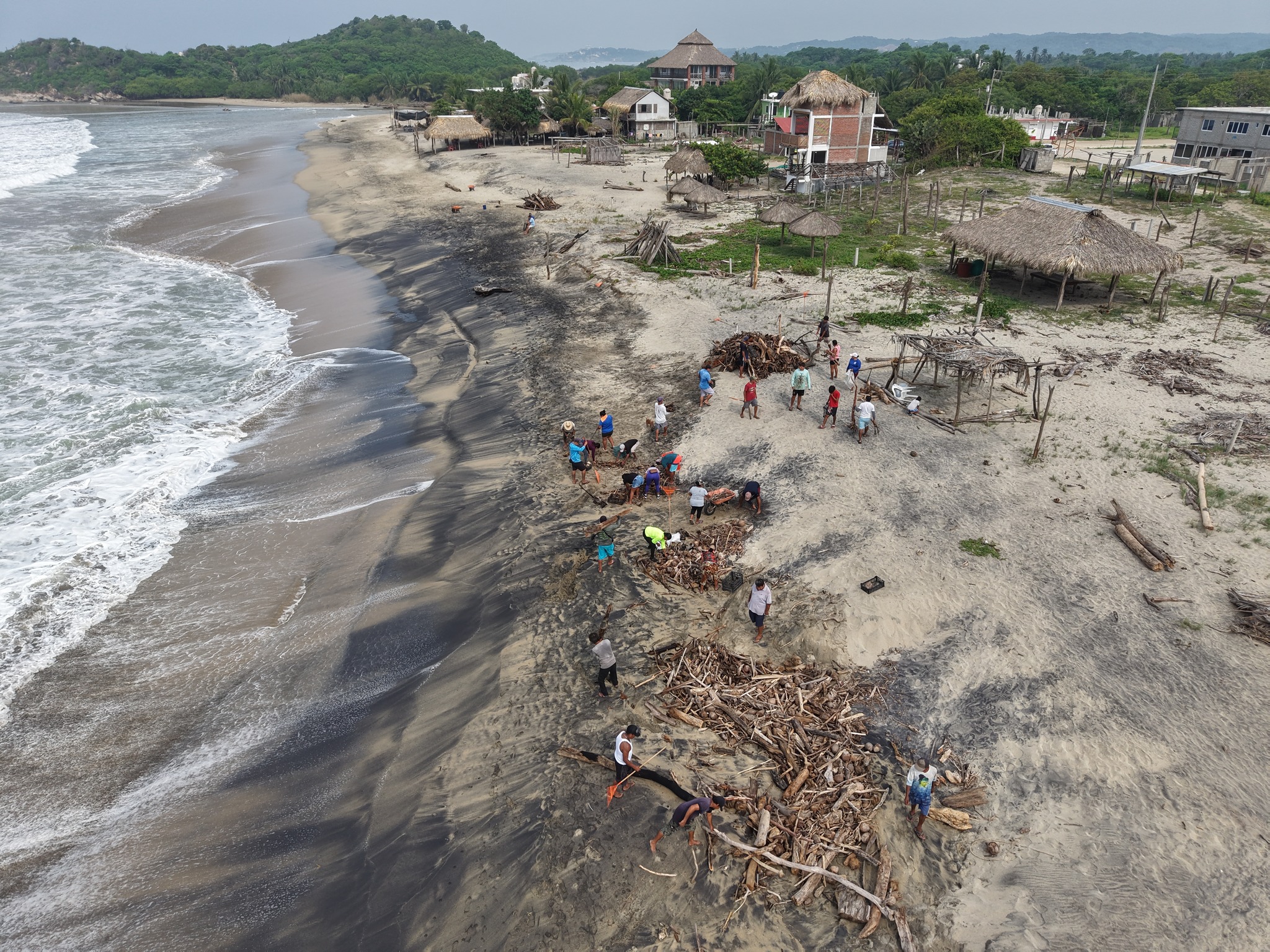 Imagen de Cleanup Tequio Conducted at Boca Vieja Beach