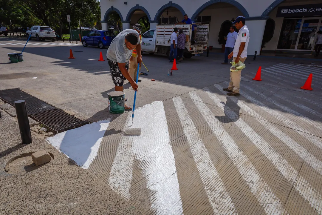 Painting and Cleaning in Santa Cruz