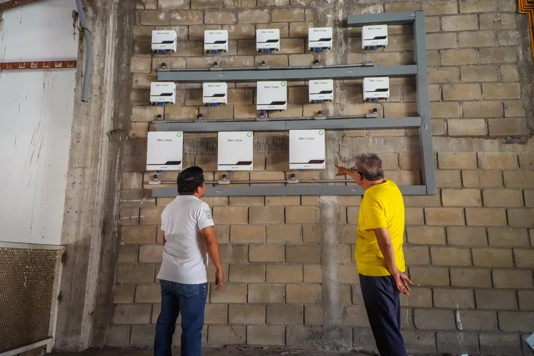 Imagen de Clean Energies Promoted at 3 de Mayo Market