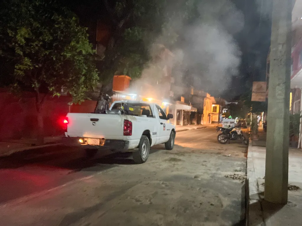 Fogging Actions in H3 and La Crucecita Downtown