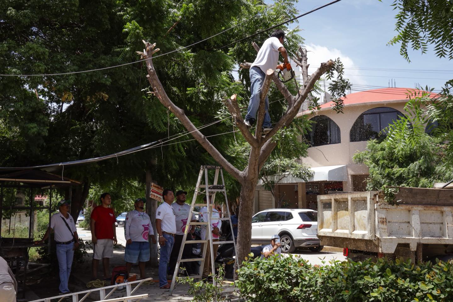 Tree Removal in Residential Area to Prevent Risks During Rainy Season