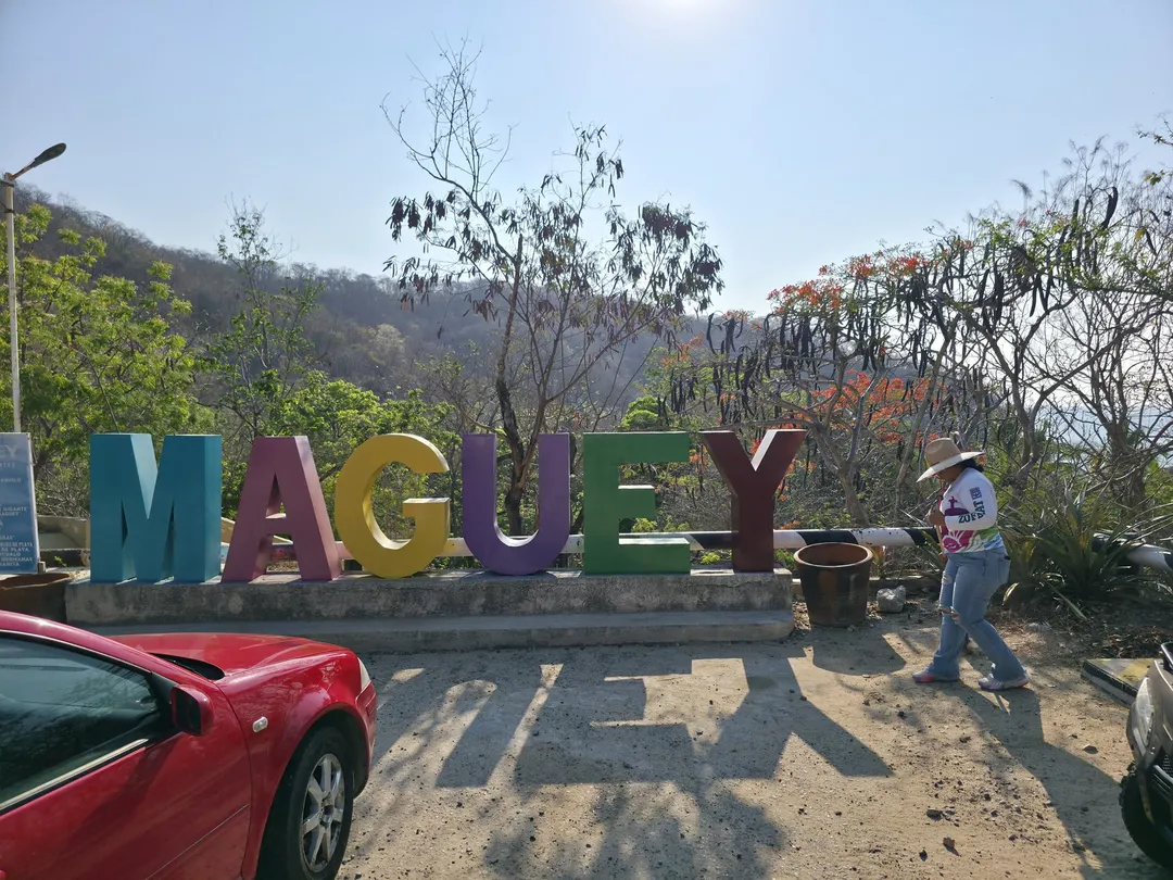 Cleaning Actions at Maguey Beach