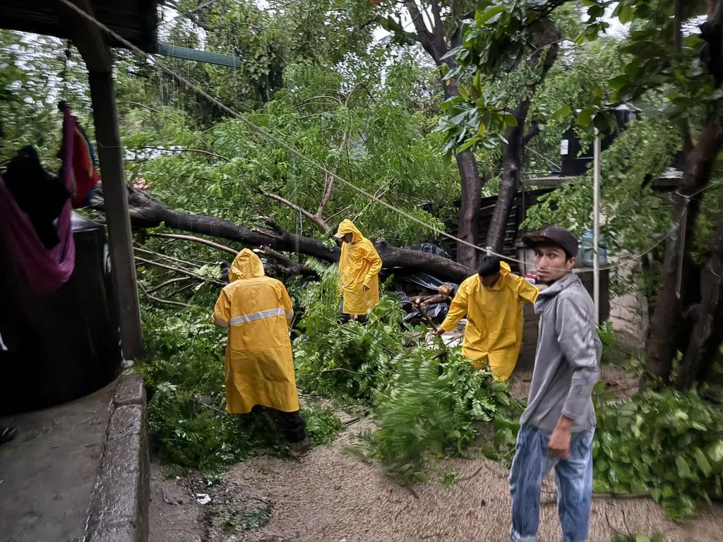 Atienden caída de árbol en Barrio Cuapinolito