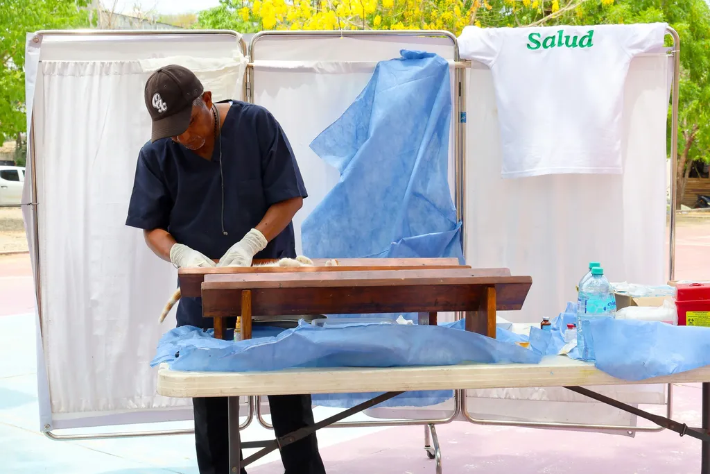 Canine and Feline Sterilization Campaign in Sector H3