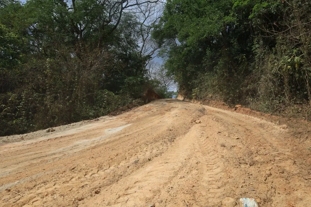 Imagen de Tracking Work Continues in Santa María Huatulco