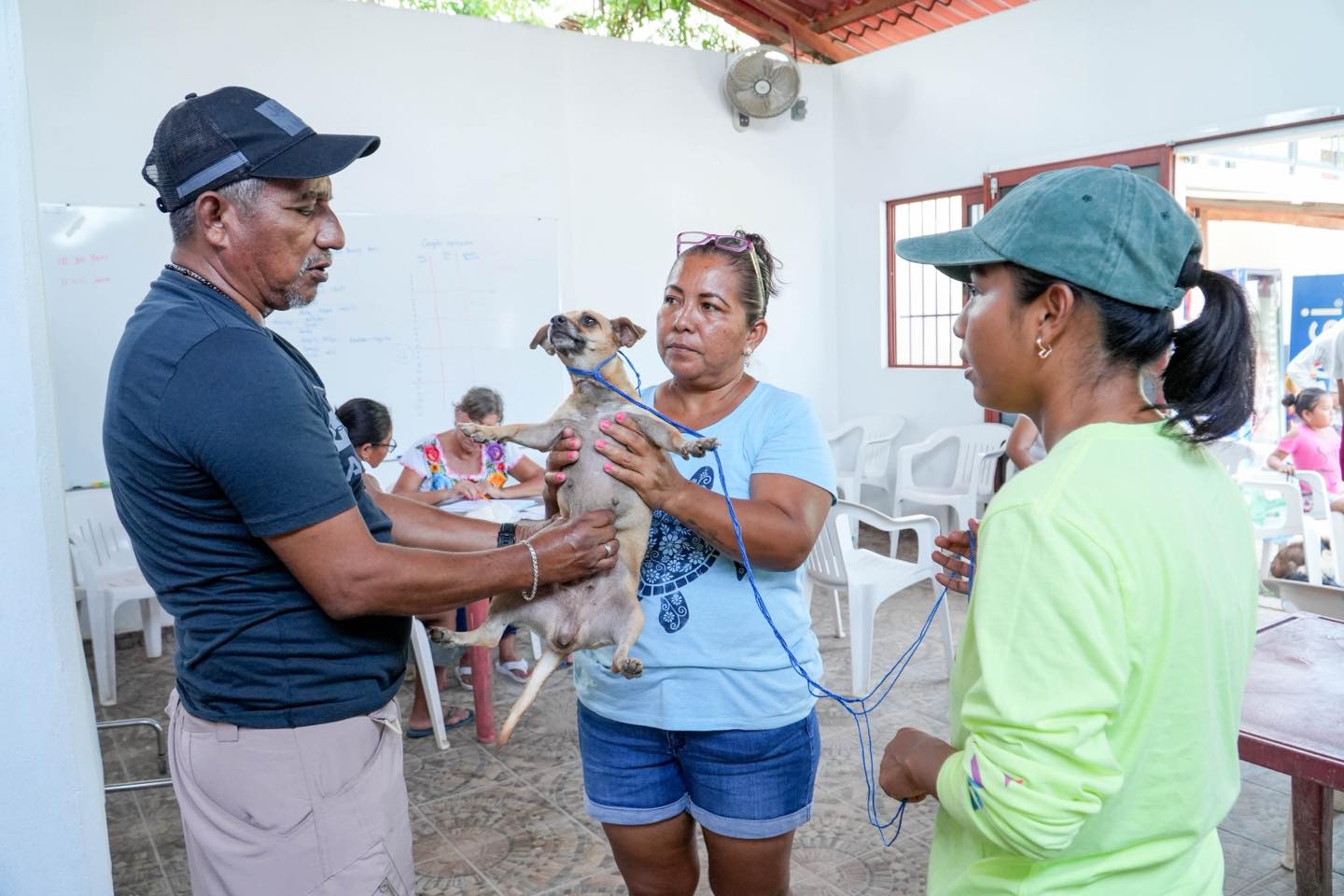 San Agustín Bay: Sterilization and Neutering Campaign Continues
