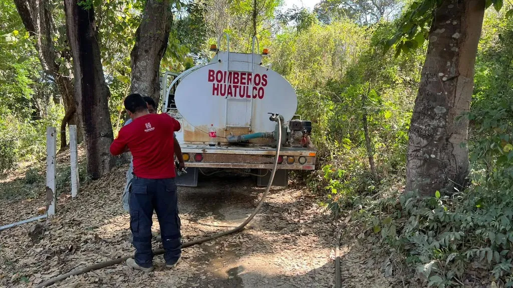 Protección Civil sofoca incendio en la comunidad "La Mina", en Santa María Huatulco