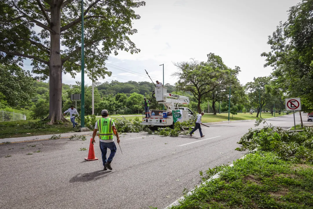 Actions Progress in CIP Huatulco