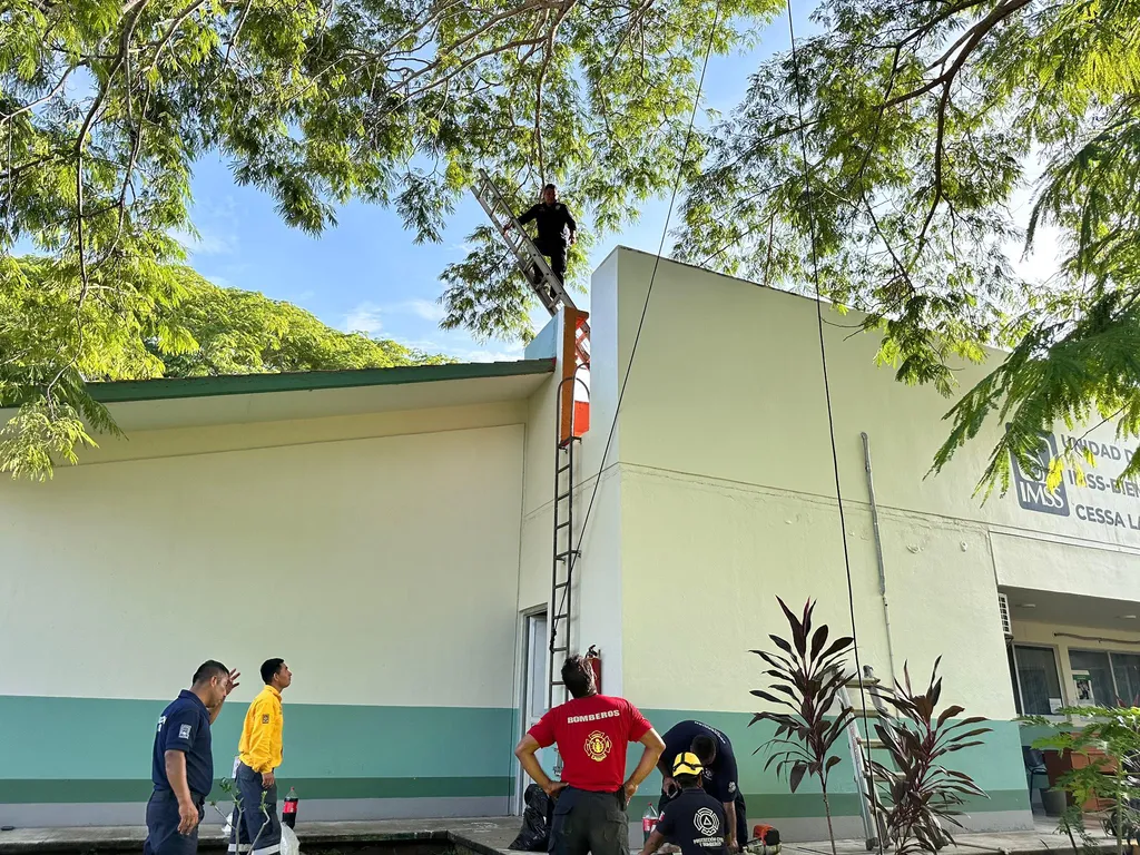 Timely Response to Tree Risk at CESSA