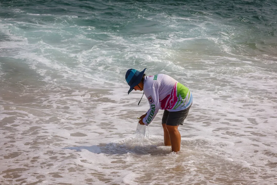 Santa Cruz Huatulco: Muestreo en playas Blue Flag